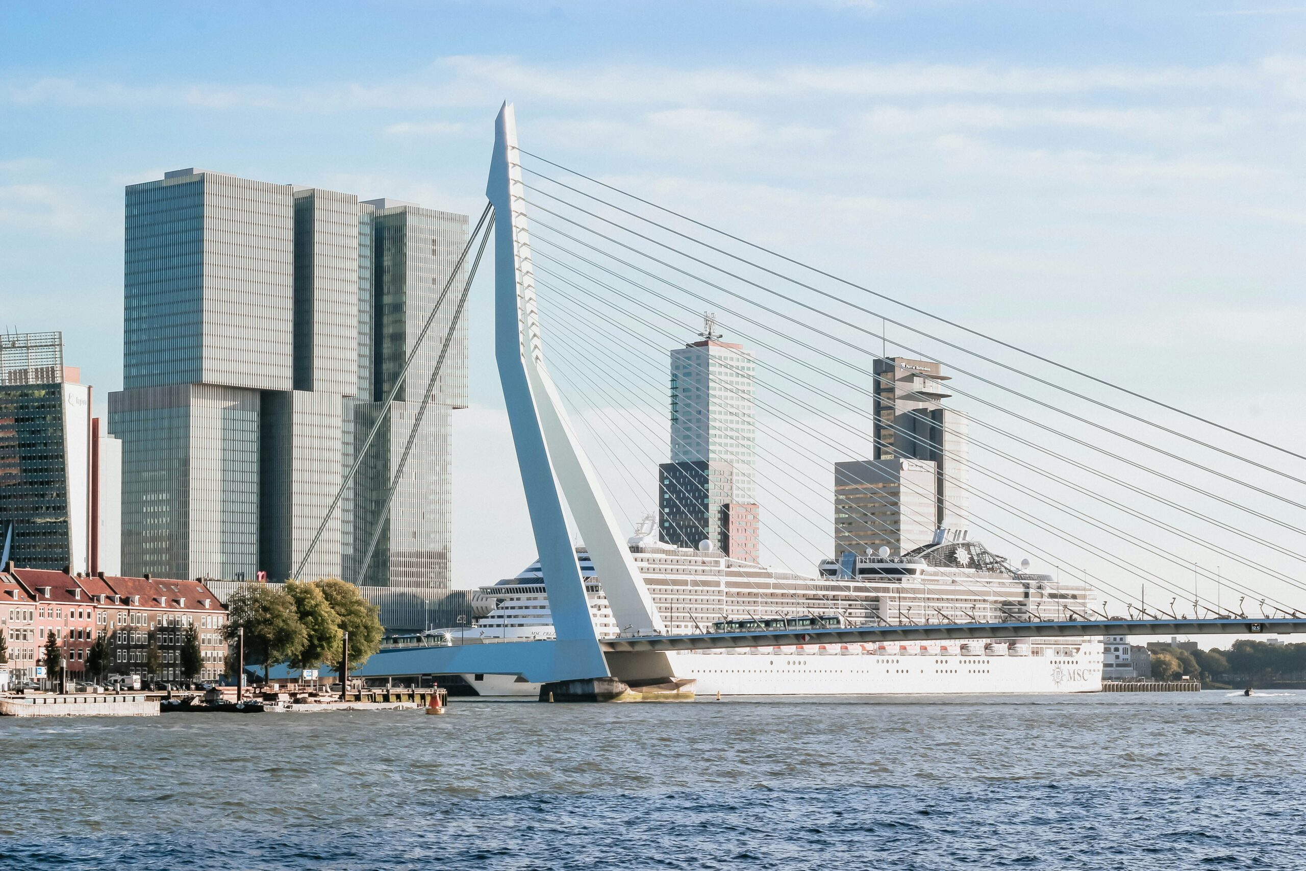 Rotterdam: Where Architecture Becomes Art